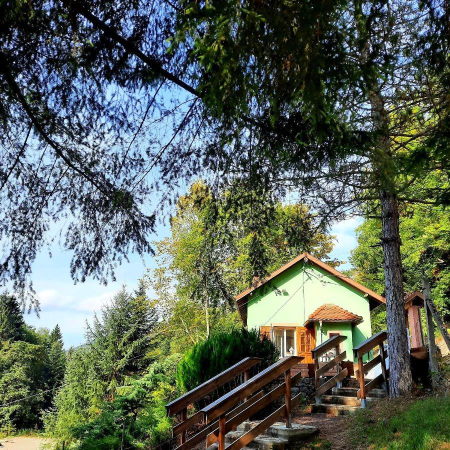 Gite L'Envol Villa Belval  Eksteriør billede